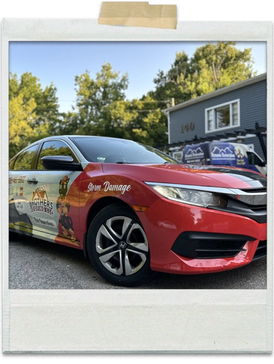 DSD Dynamic Signs Desing